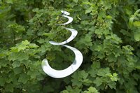 Nature vogelschrikspiraal - afbeelding 2