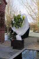 Nature winterafdekvlies 2 x 5 meter 30 g/m² wit - afbeelding 2