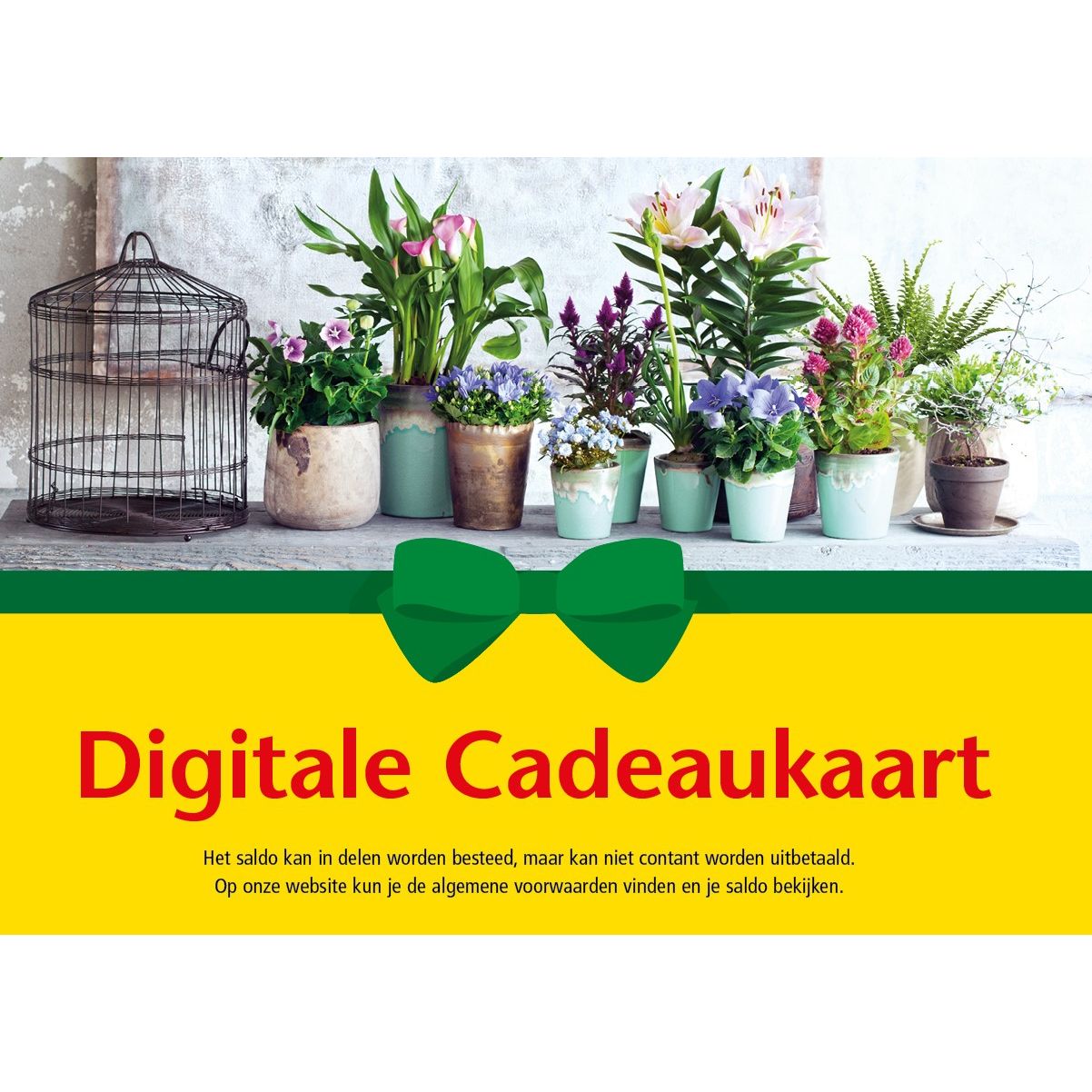 Oosteinde Digitale Cadeaukaart