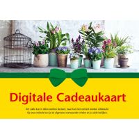 Oosteinde Digitale Cadeaukaart