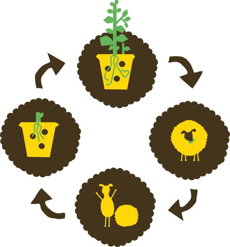 ORO Wolkorrel 400 gram - afbeelding 2