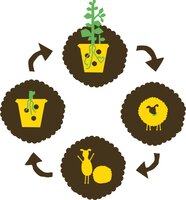 ORO Wolkorrel 5 kilo - afbeelding 3