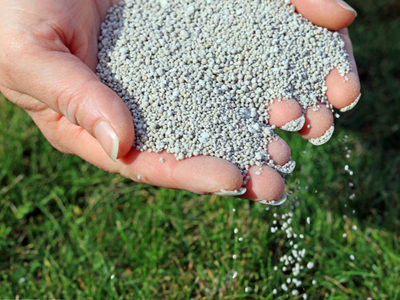 Overige planten soorten voeding