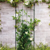 Peacock trellis 48 x 150 cm - afbeelding 2