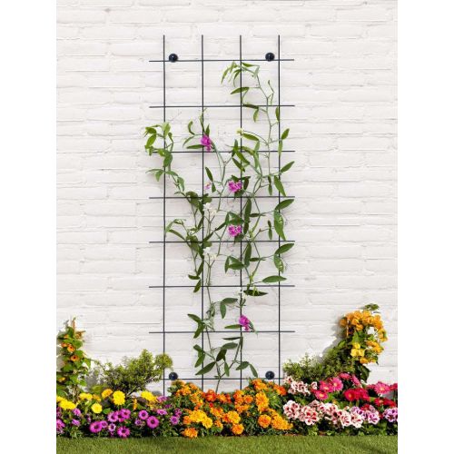 Peacock trellis 60 x 150 cm - afbeelding 2