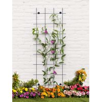 Peacock trellis 60 x 150 cm - afbeelding 2