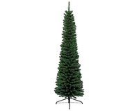 Pencil pine 150 cm groen