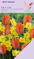 Perfect duo Narcis Martinette & Tulp Orange Joy 14 bollen