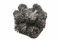 HBX Dennenappels Frosted White 9-12 cm 15 stuks