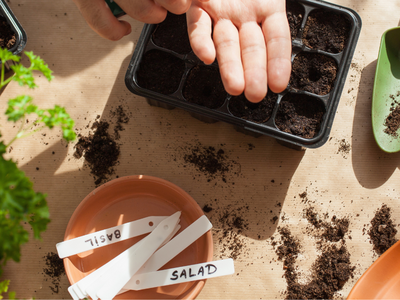 Plant etiketten
