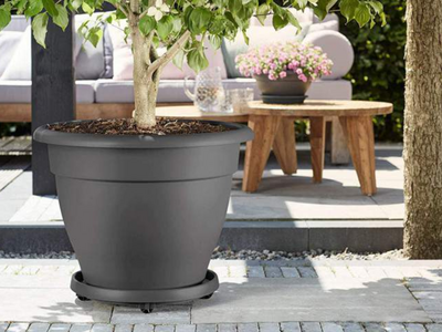 Planten trolleys