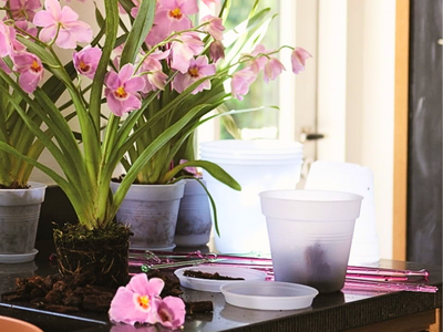 Planten trolleys & floorprotectors
