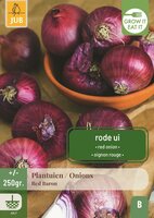 Plantenuien red baron