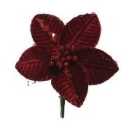 Poinsettia fluweel burgundy 20 cm