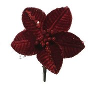 Poinsettia fluweel burgundy 10 cm bordeaux