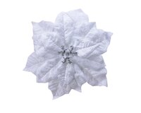 Poinsettia stof op clip wit