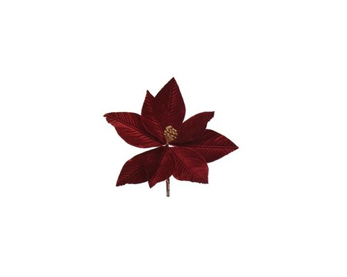 Poinsettia op clip fluweel 25 cm burgundy