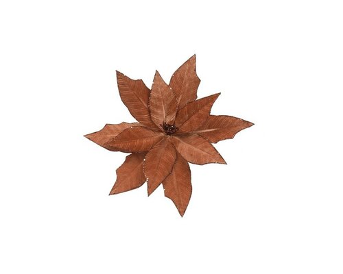 Poinsettia op clip fluweel 35 cm expresso brown