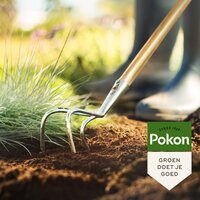 Pokon bemeste tuincompost bio 40 liter - afbeelding 2