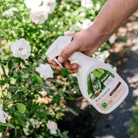 Pokon Bio blad schoon 750 ml - afbeelding 2