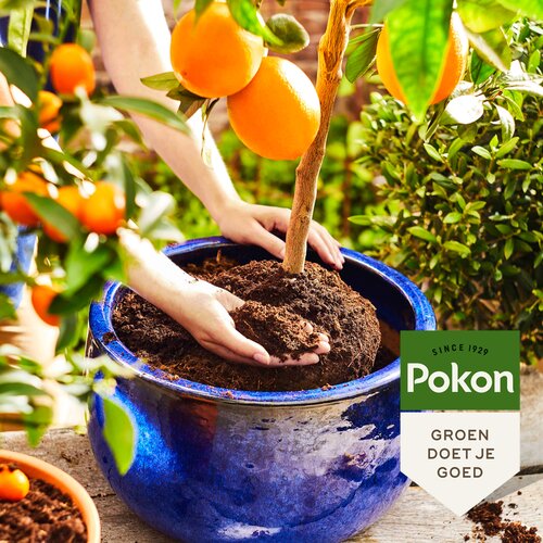 Pokon Bio Mediterrane Potgrond 30 liter - afbeelding 2