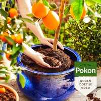 Pokon Bio Mediterrane Potgrond 30 liter - afbeelding 2