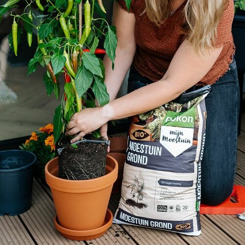 Pokon Bio moestuin grond rhp 40 liter - afbeelding 2