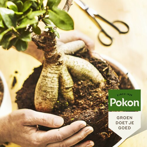 Pokon bonsai grond turfvrij 5 liter - afbeelding 2