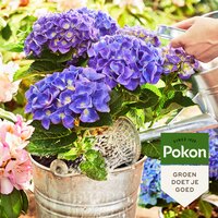 Pokon Hortensia grond bio 30 liter - afbeelding 2