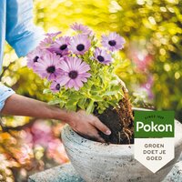 Pokon potgrond langwerkend rhp 40 liter - afbeelding 2