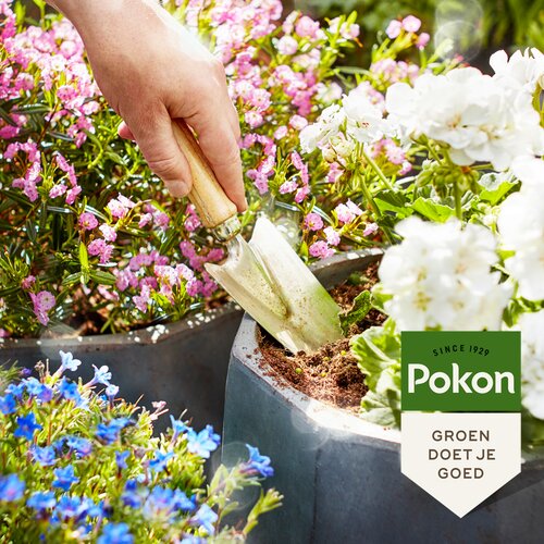 Pokon potgrond terras en balkon rhp 40 liter - afbeelding 2