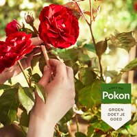 Pokon Rozen grond 30 liter - afbeelding 2