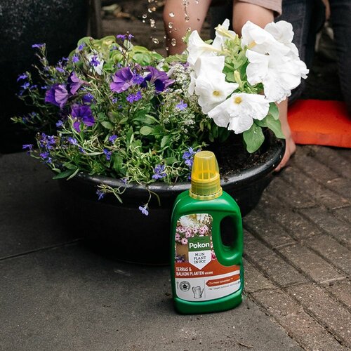 Pokon terras & balkon voeding 1 liter - afbeelding 2