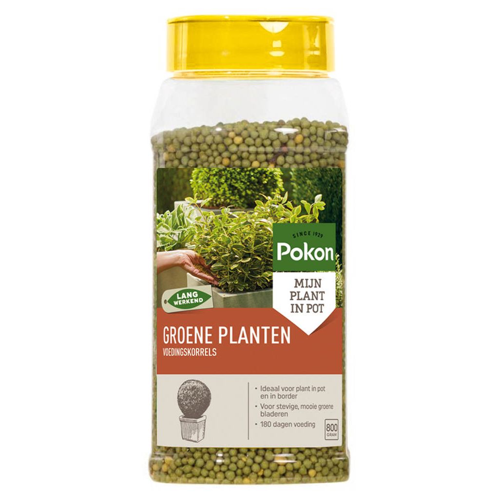 Pokon voedingskorrels groene planten 800gr