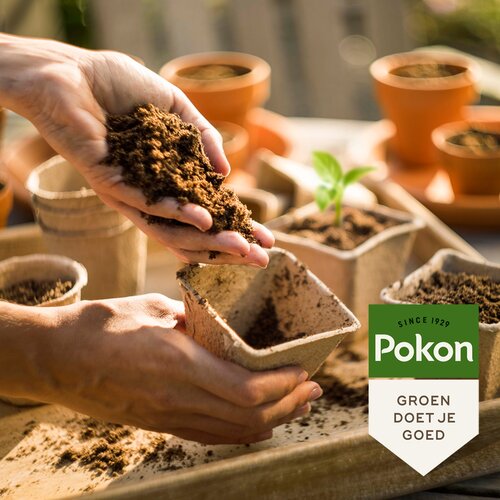 Pokon zaai & stekgrond 10 liter - afbeelding 2