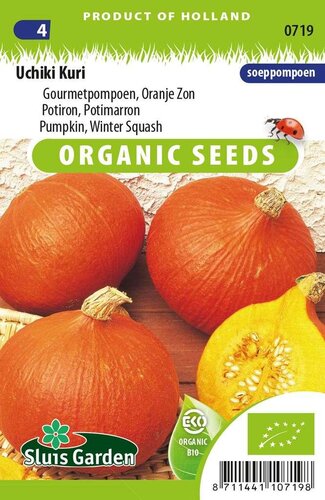 Pompoen zaden Uchiki Kuri BIO