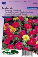 Portulaca Grandiflora zaden Choice Mix