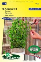 Pot erwt 'N' Pod Bernard F1 zaden