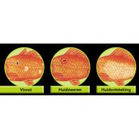 Colombo Morenicol cytofex 500 ml - afbeelding 2
