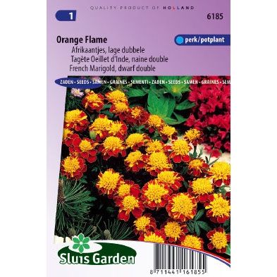 Afrikaan zaden Tagetes patula orange flame