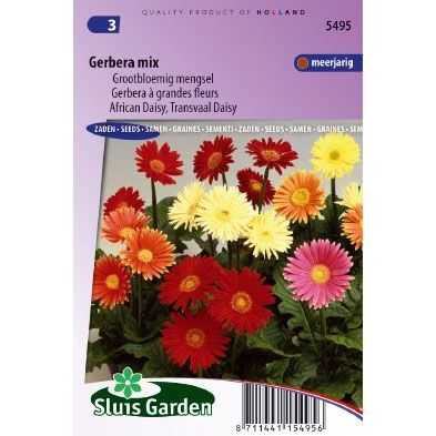 Gerbera jamesonii Choice mix