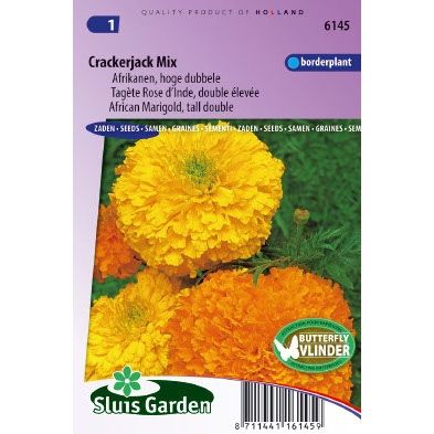 Afrikaan zaden Tagetes erecta crackerjack