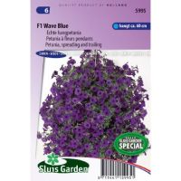 Petunia Hybrida zaden F1 Wave Blue