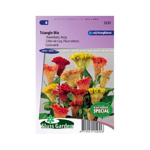 Celosia Argentea zaden Triangle mix hanekam