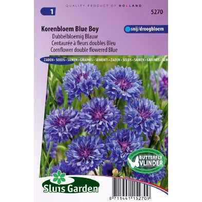 Centaurea cyanus korenbloem dubbel blauw