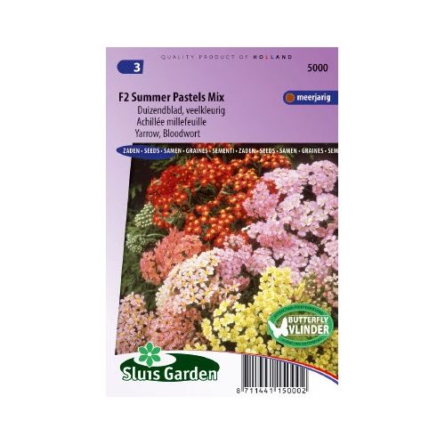 Duizendblad zaden Summer Pastels F2 mix (Achillea)