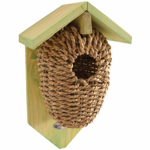Nestbuidel zeegras - afbeelding 1