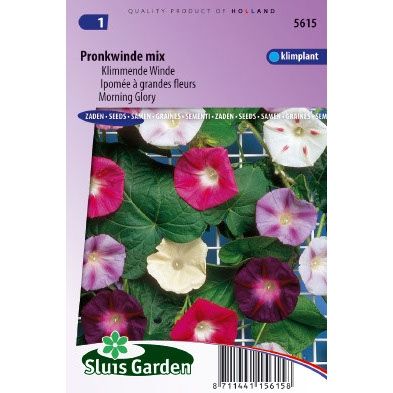 Klimmende Winde Ipomoea purpurea choice mixed