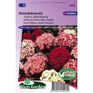 Dianthus barbatus Duizendschoon dubbel gemengd