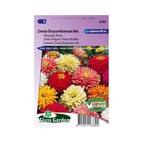 Zinnia Elegans zaden Chrysanthemum mix